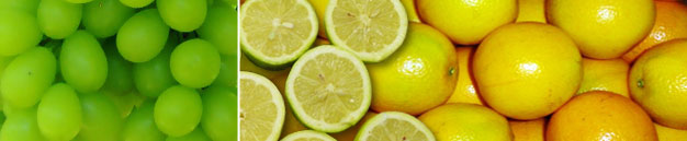 fruits